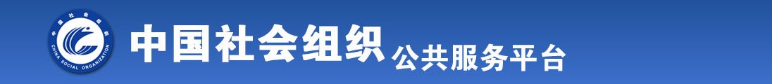 插入激情啊啊啊舔舔插全国社会组织信息查询